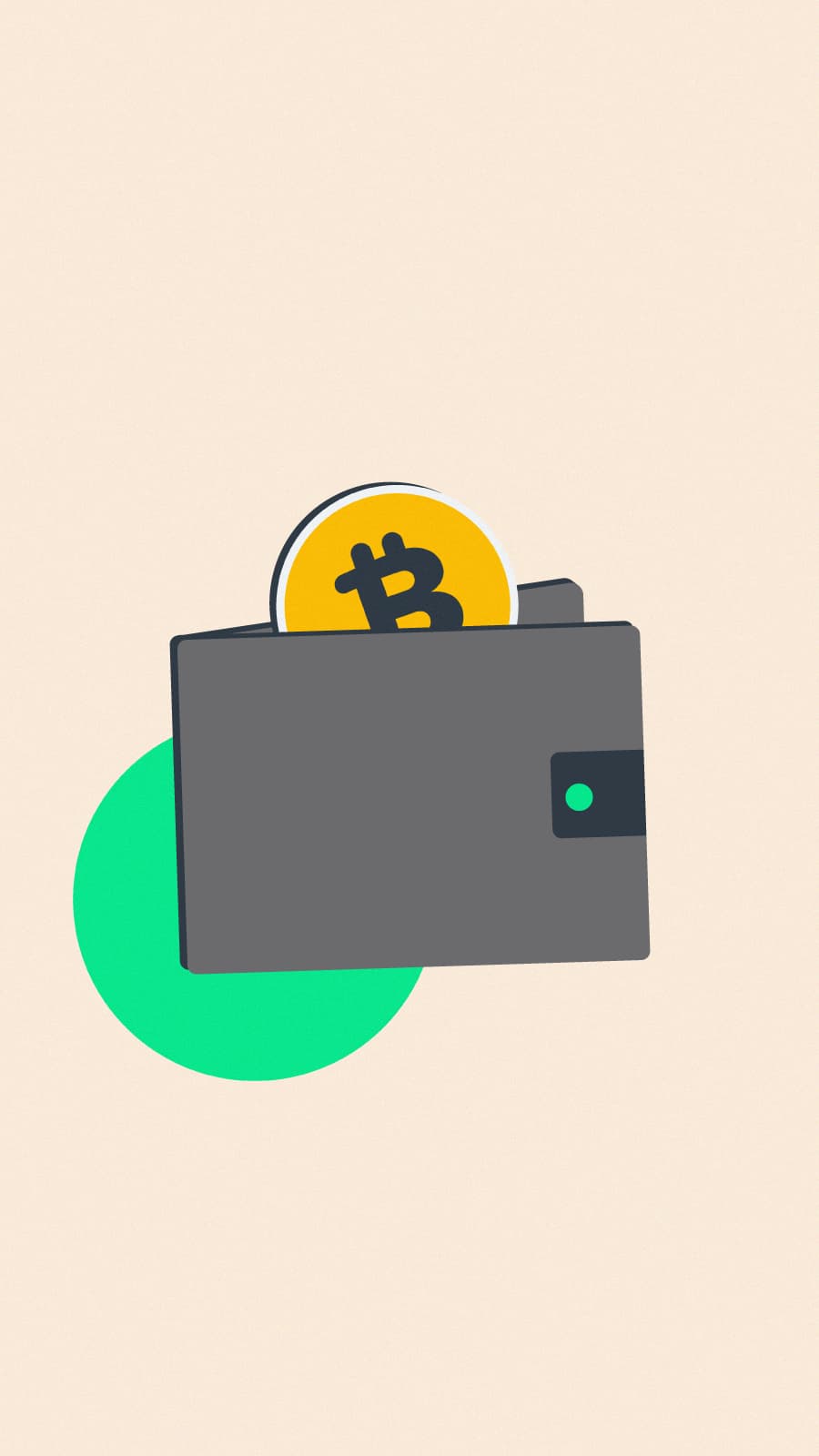 Hoe werkt een crypto wallet en wat is een wallet adres?