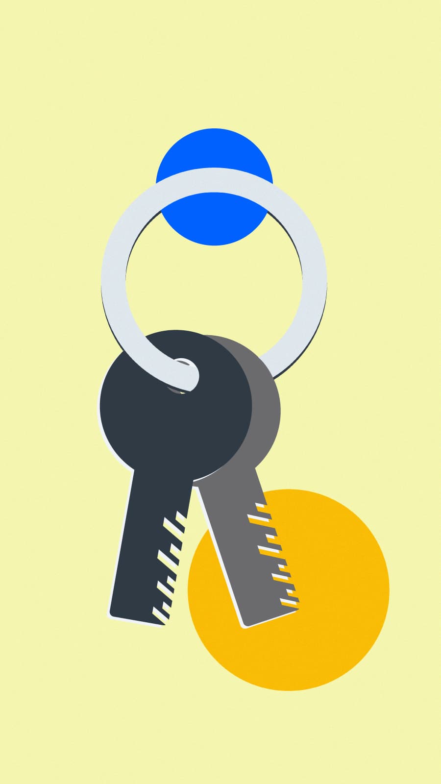 What are public and private keys?